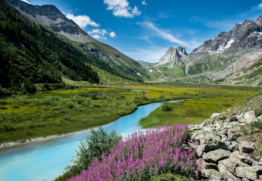 Nature is next to you