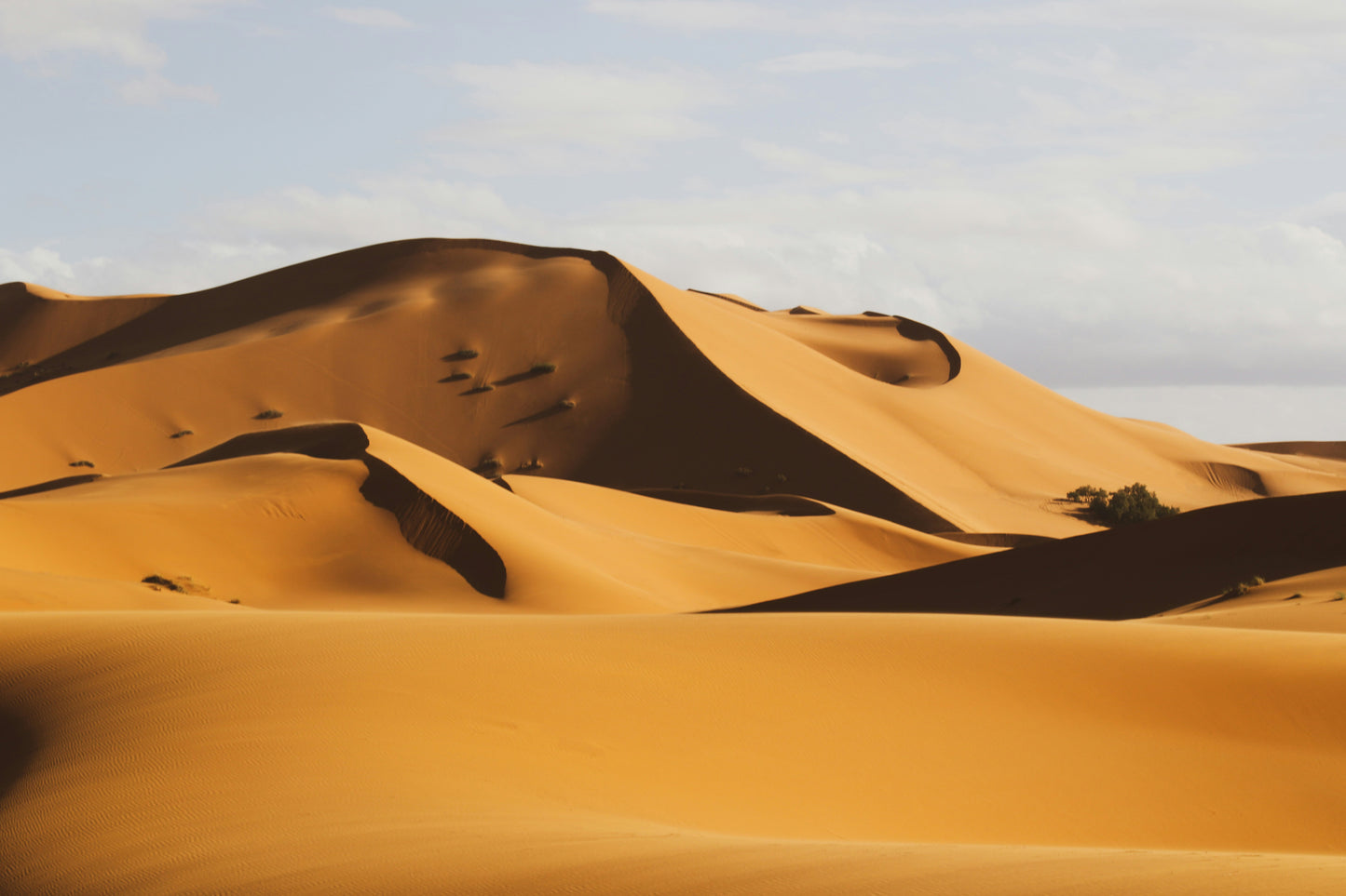 View of Sahara or desert