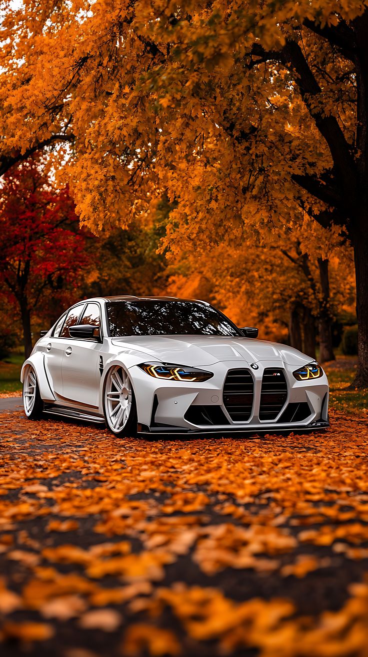 Autumn Drive" - BMW M3 G80 Art Print