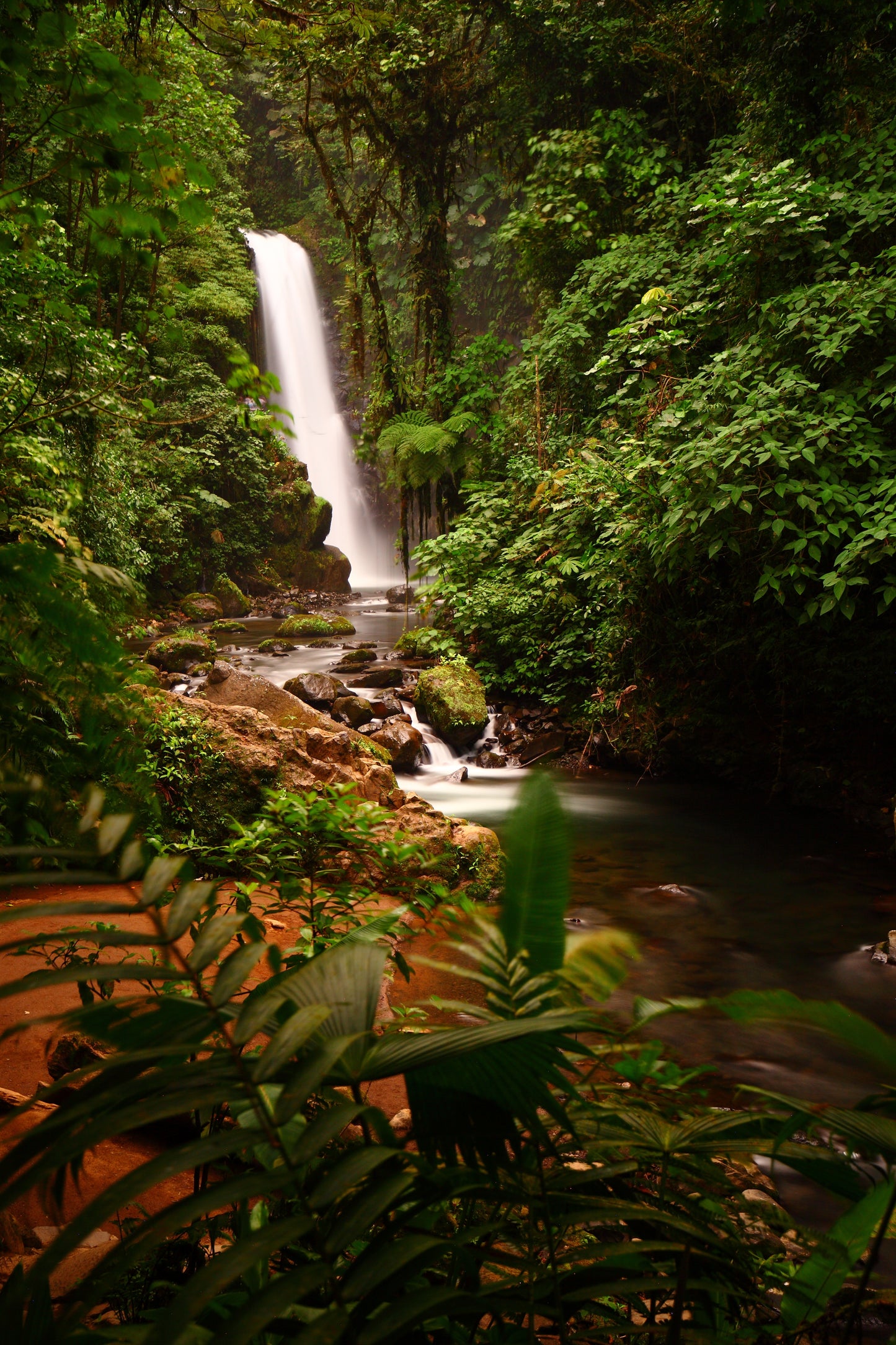 waterfall in a tropical forest