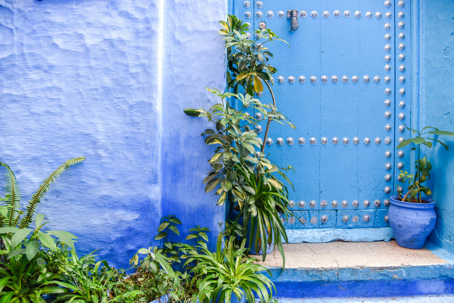 Blue  Door