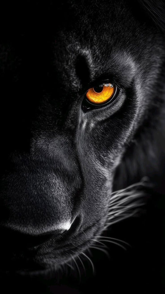 Intense Focus: Black Panther Eye Art Print | Wildlife-Themed Wall Decor